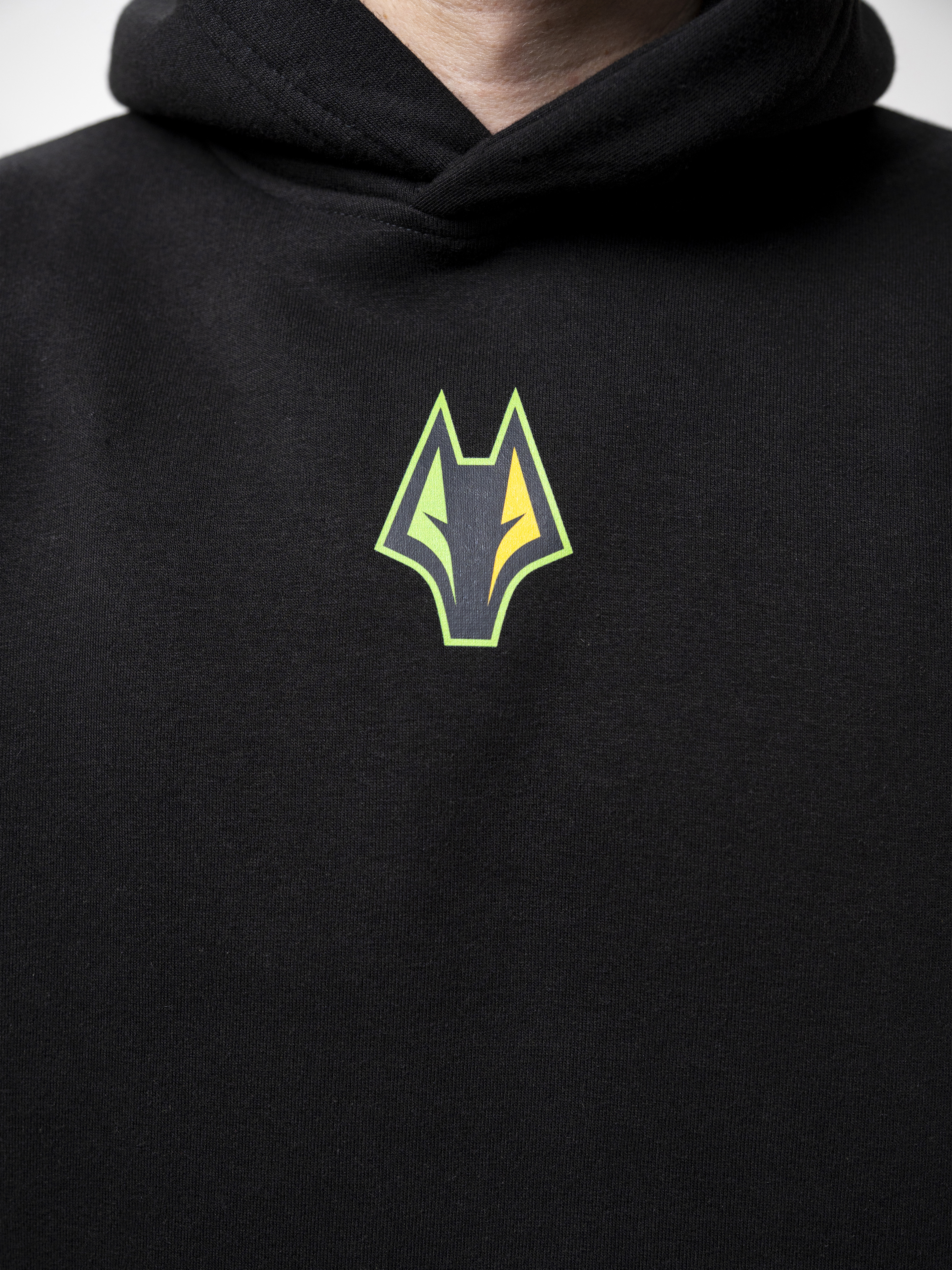 Худі з логотипом "ФК Полісся" - Зображення 2